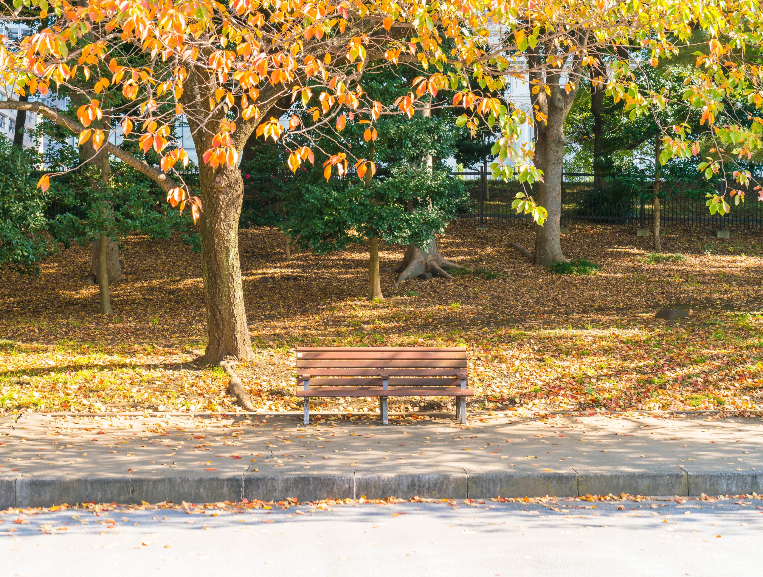 Bench