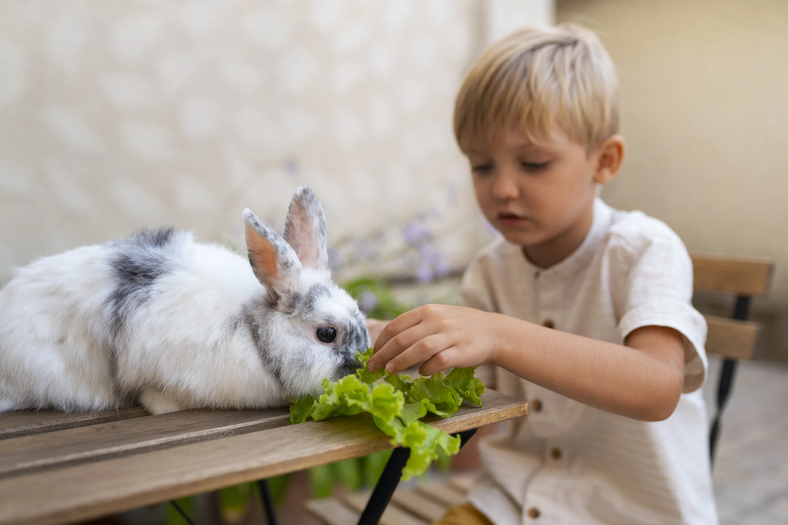 portrait-young-boy-with-his-pet-rabbit