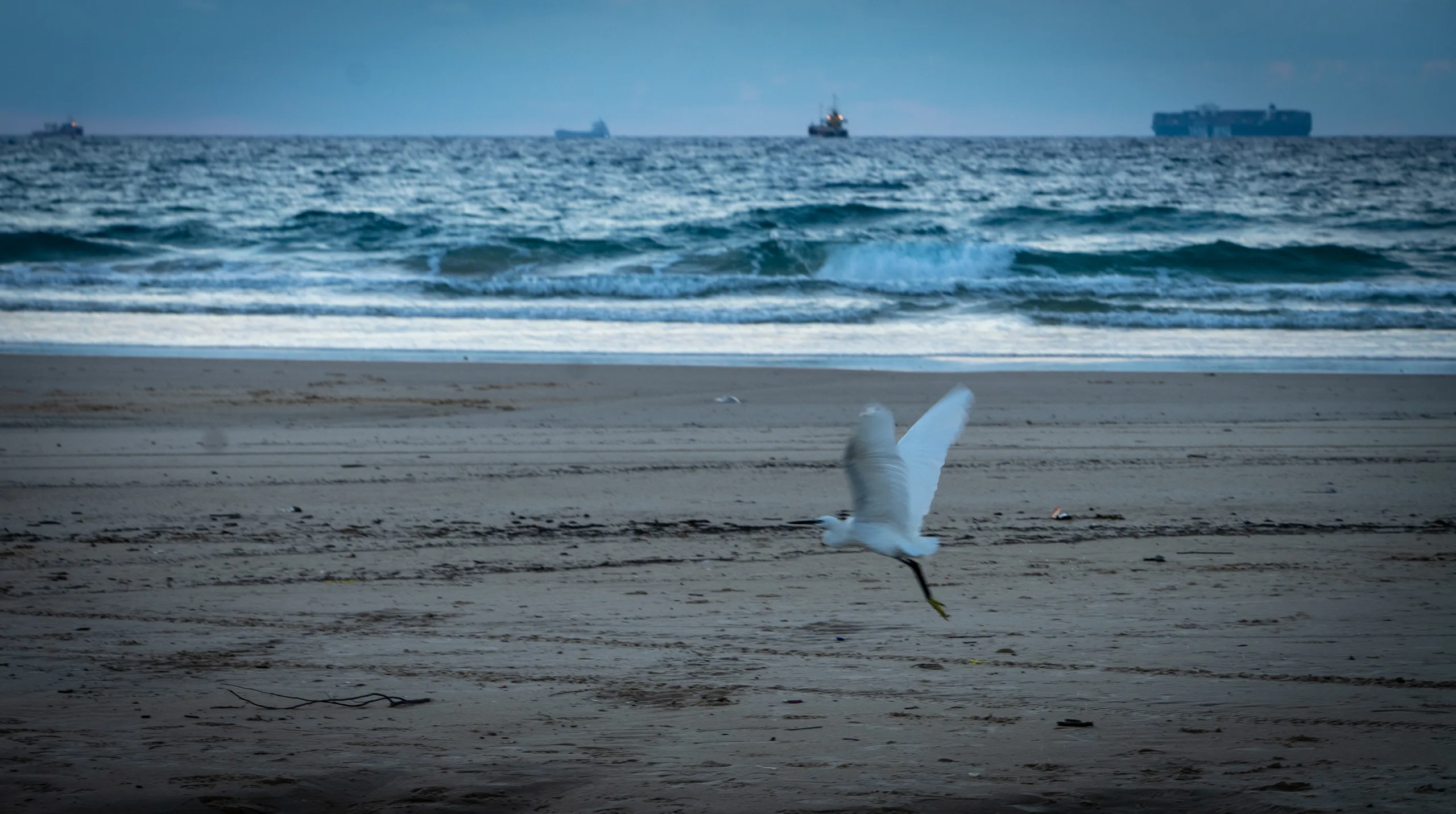 wind-wave-ashdod