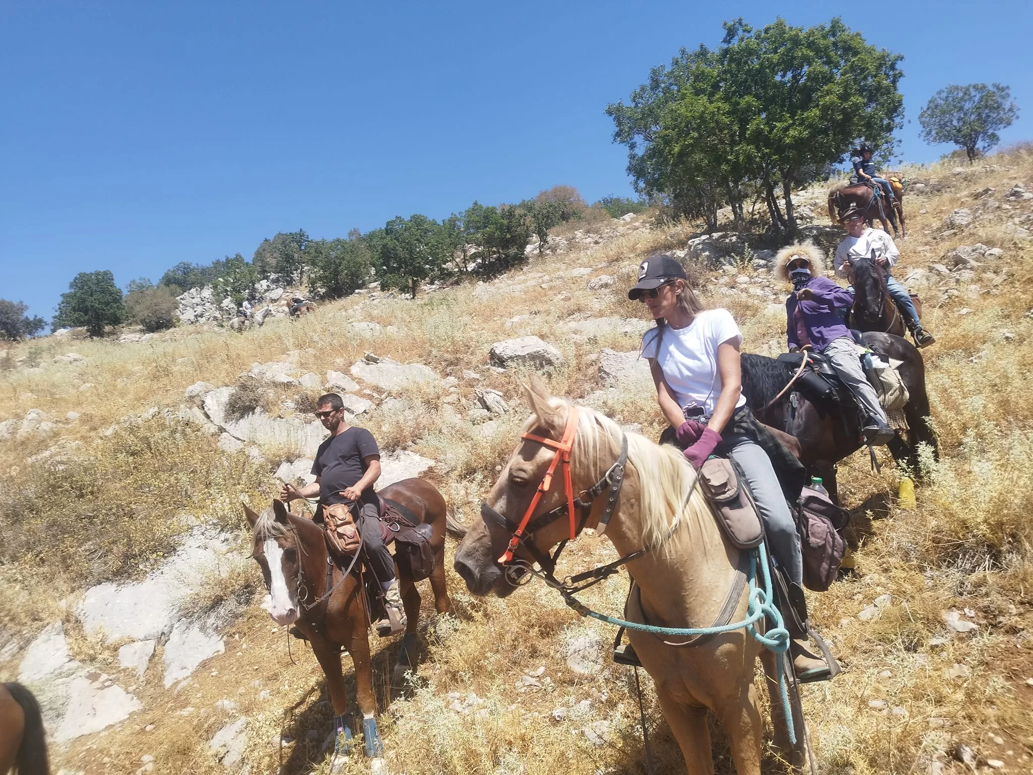 ארוחה רומנטית – טיול סוסים